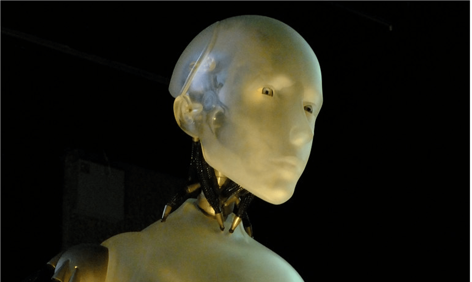 Tesla Bot: The Future of Robotics and AI